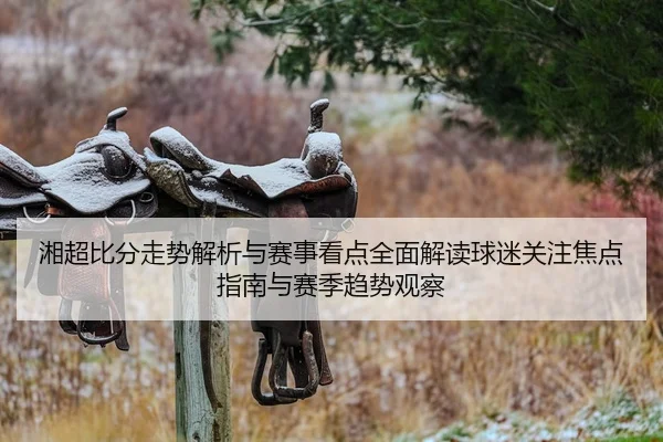 xiang-chao-bi-fen-zou-shi-jie-xi-yu-sai-shi-kan-dian-quan-mian-jie-du-qiu-mi-guan-zhu-jiao-dian-zhi-nan-yu-sai-ji-qu-2-633.jpg