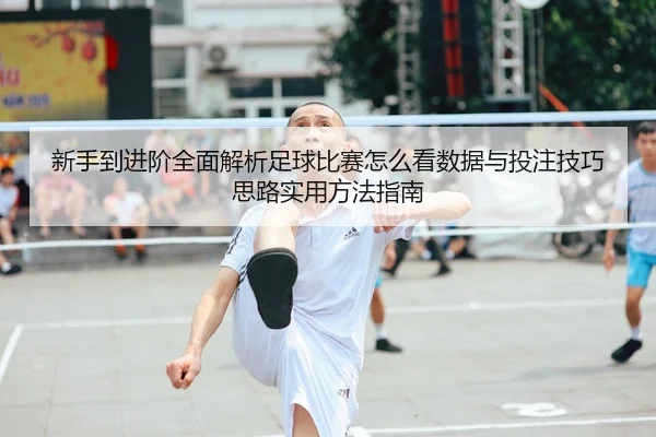 新手到进阶全面解析足球比赛怎么看数据与投注技巧思路实用方法指南