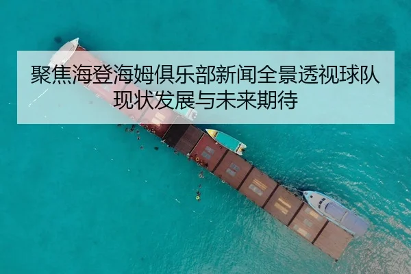 聚焦海登海姆俱乐部新闻全景透视球队现状发展与未来期待